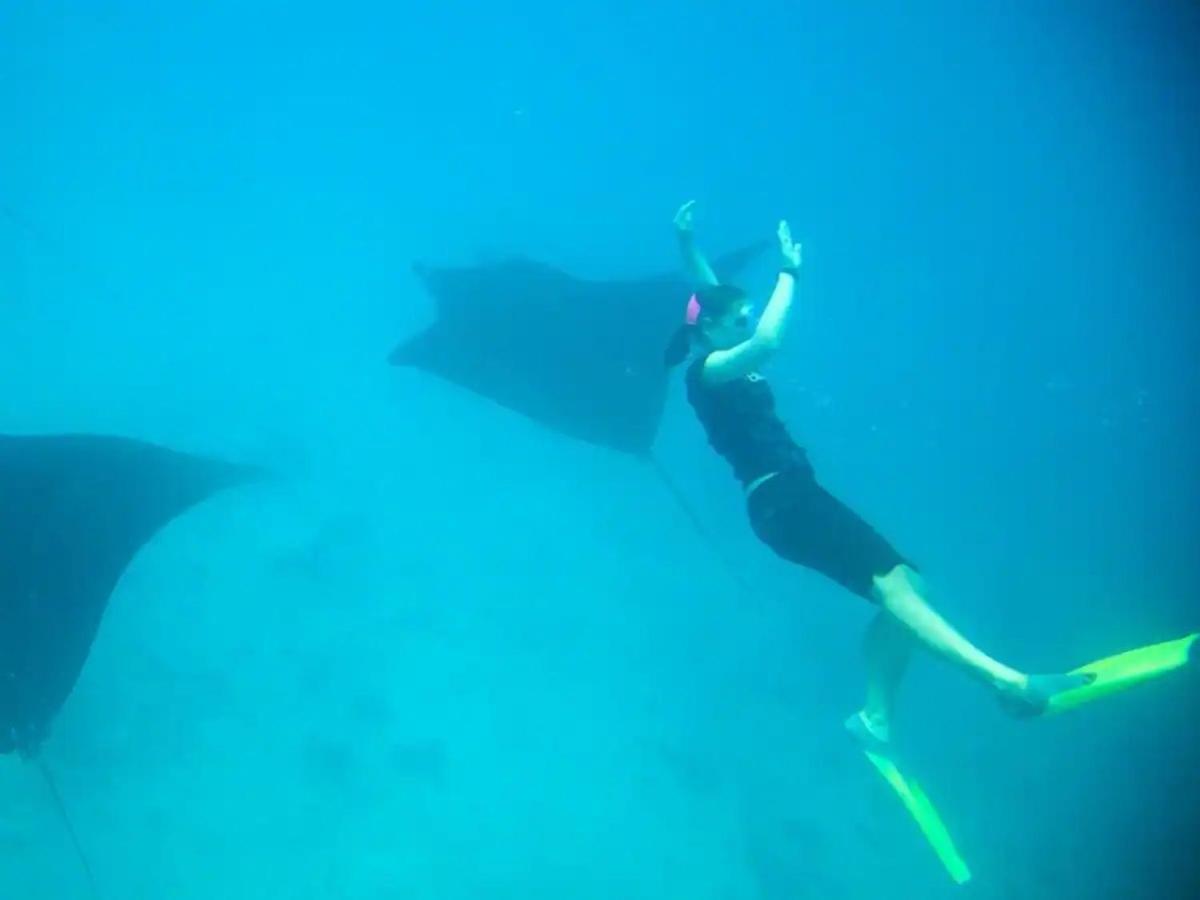 White Sandy Beach-Best Manta Snorkeling Tethi Bagian luar foto