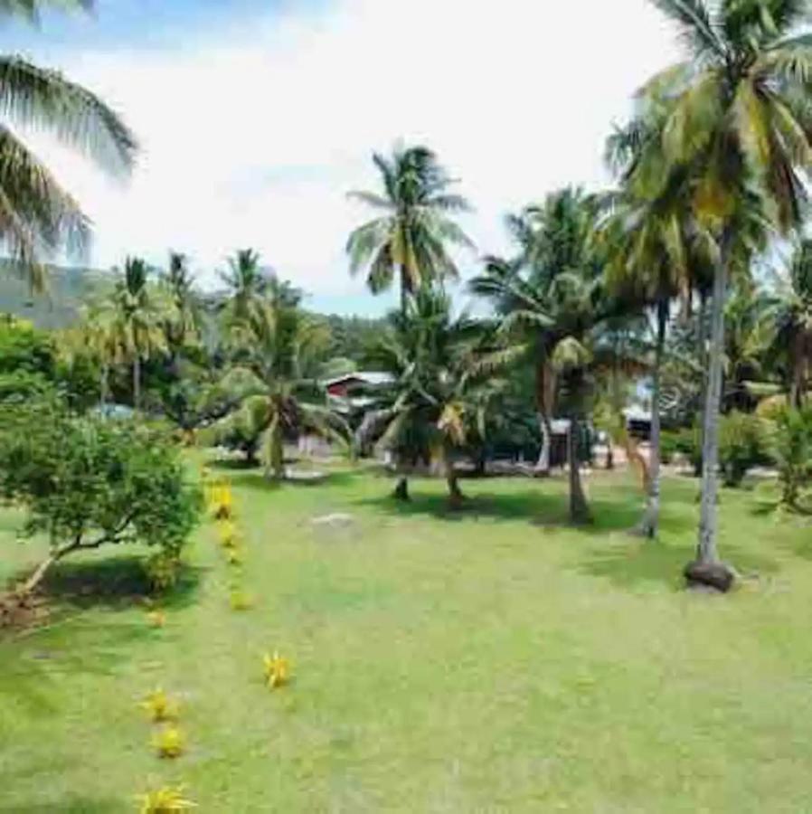 White Sandy Beach-Best Manta Snorkeling Tethi Bagian luar foto